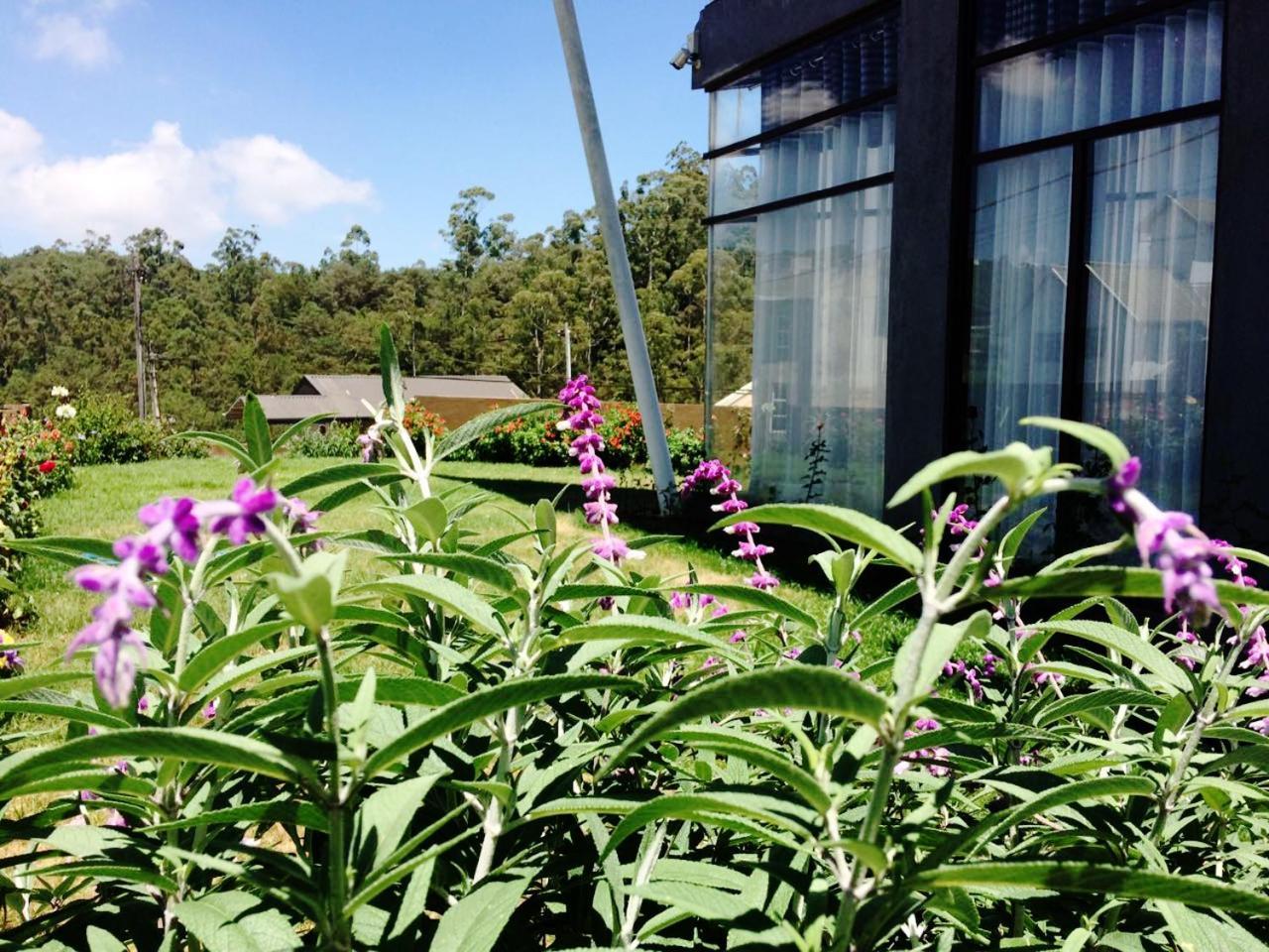 Kingsford Residences Nuwara Eliya Esterno foto